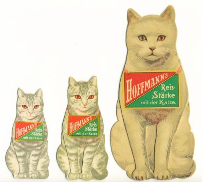 Hoffmanns Katzen